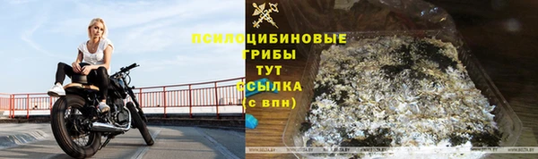 соль курить ск Алзамай