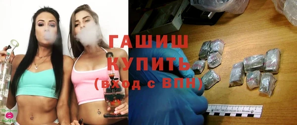 гашик Алексин