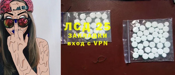 гашик Алексин