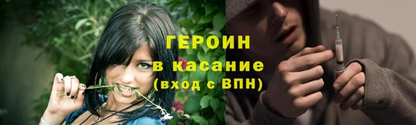 гашик Алексин