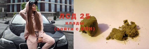 гашик Алексин