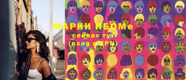 гашик Алексин
