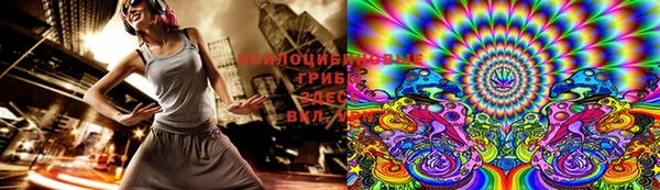 гашик Алексин