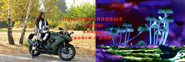 эйфоретик Алексеевка