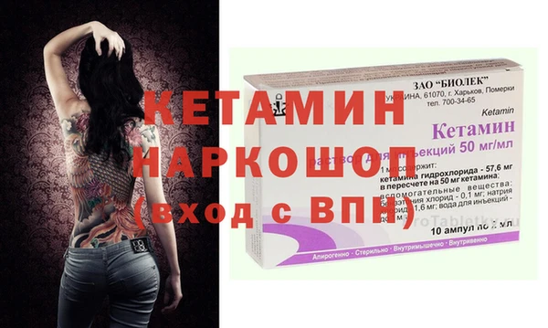 гашик Алексин