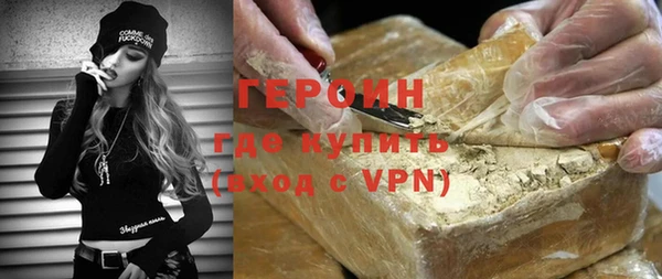 гашик Алексин