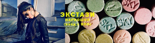 гашик Алексин